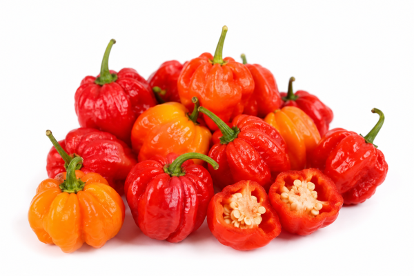 Scotch Bonnet Scotch Bonnet